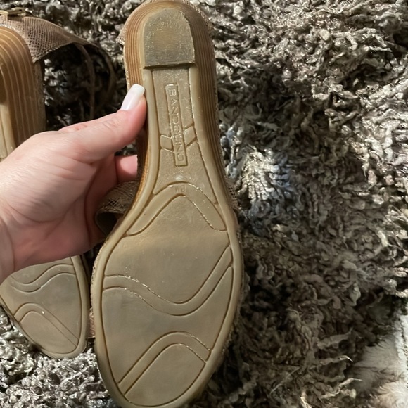 BANDOLINO - Picture 3 of 6